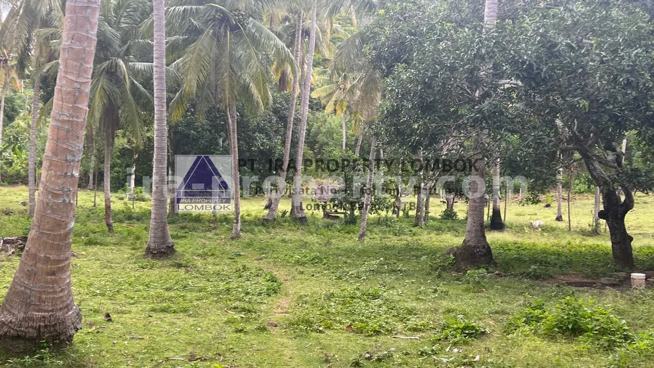 Tanah Tepi Pantai di Telaga Lupi, Sekotong - 182-2 - 11