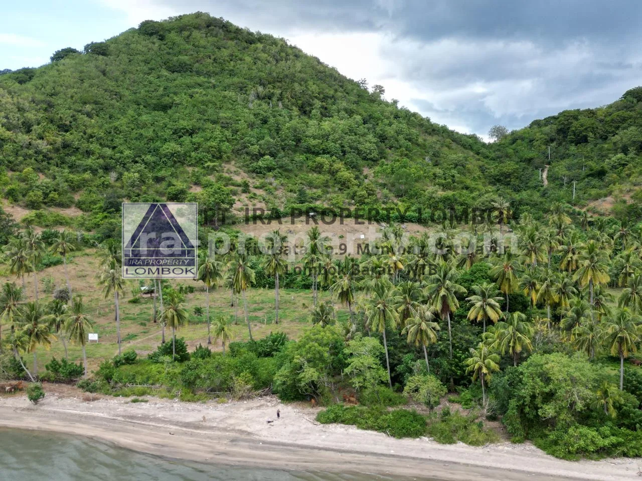 Tanah di Perbukitan Sekotong dengan Pemandangan Laut - 181-2 - 1