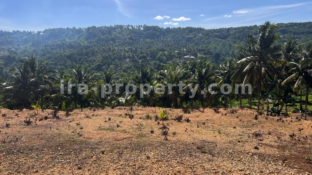 Land Plot with Direct Beach and Circuit Views in Mandalika - 419 - 5