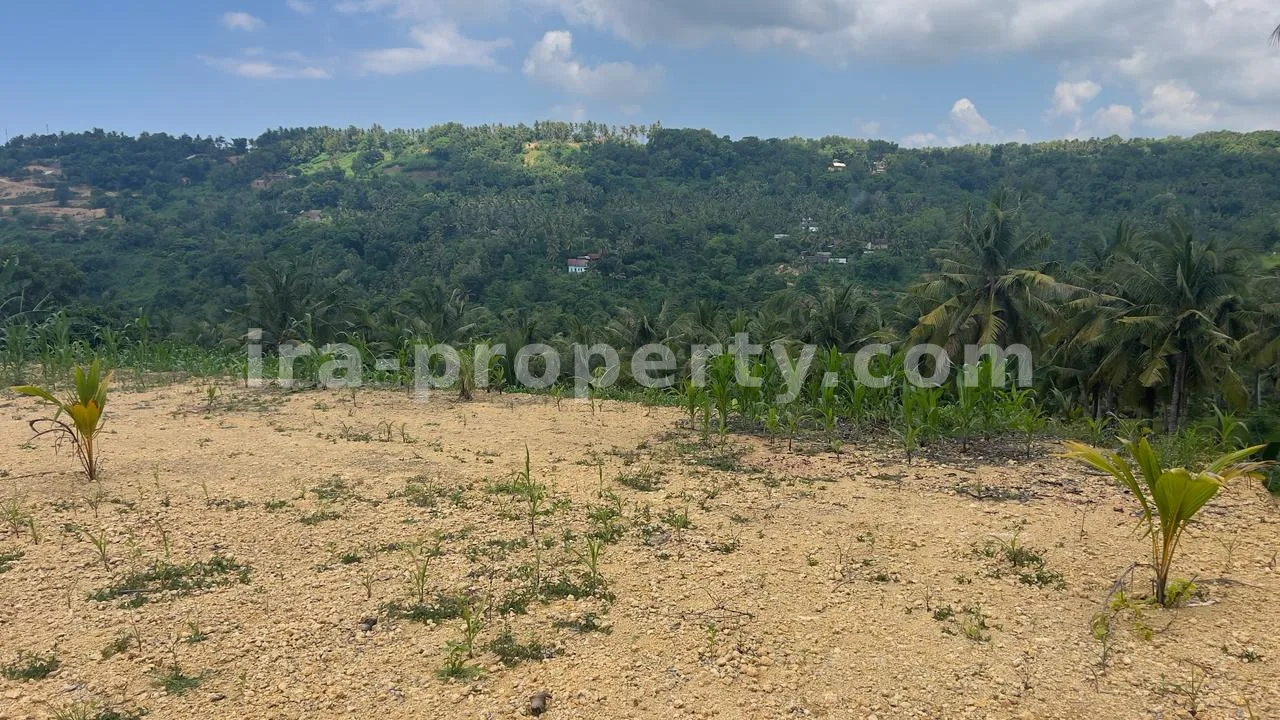 Land Plot with Direct Beach and Circuit Views in Mandalika - 419 - 6