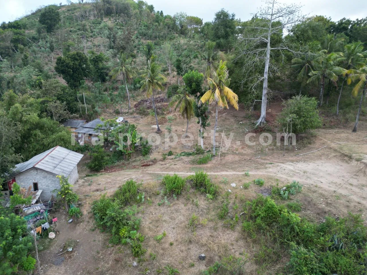 Tanah Premium di Puncak Bukit Prabu Areguling - 445-2 - 7