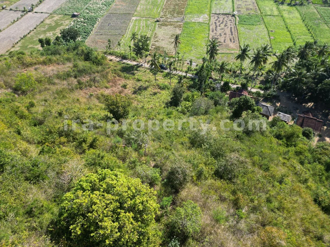 Sea View Hilltop Land in Tampah- 15,463 m² - 451 - 15