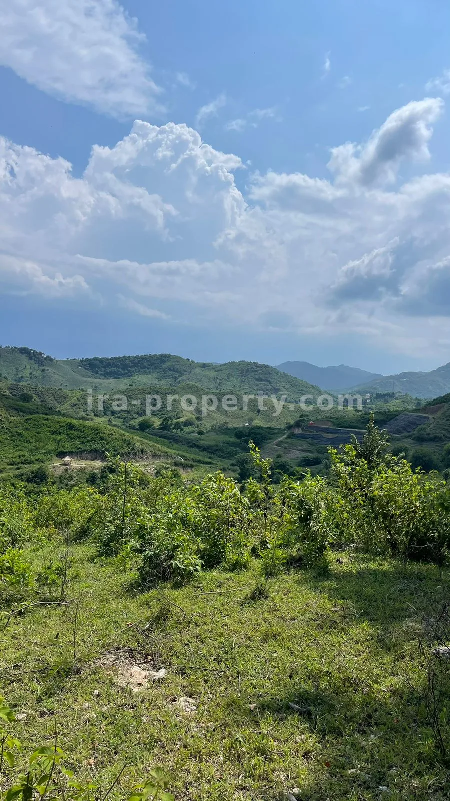 Sea view Land in Mawun, Kuta Mandalika (1.5 Hectare) - 430 - 9