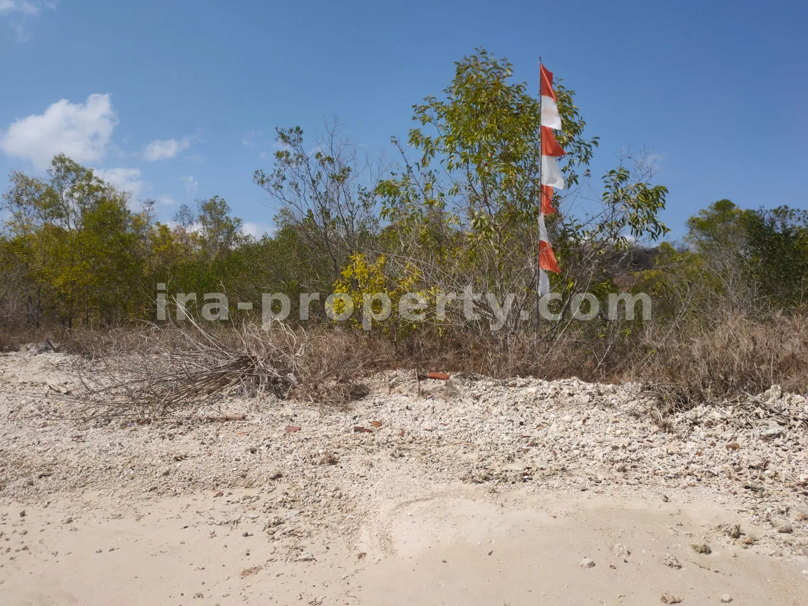 Tanah Tepi Pantai di Gili Gede Sekotong – 4.600 m² - 174 - 9