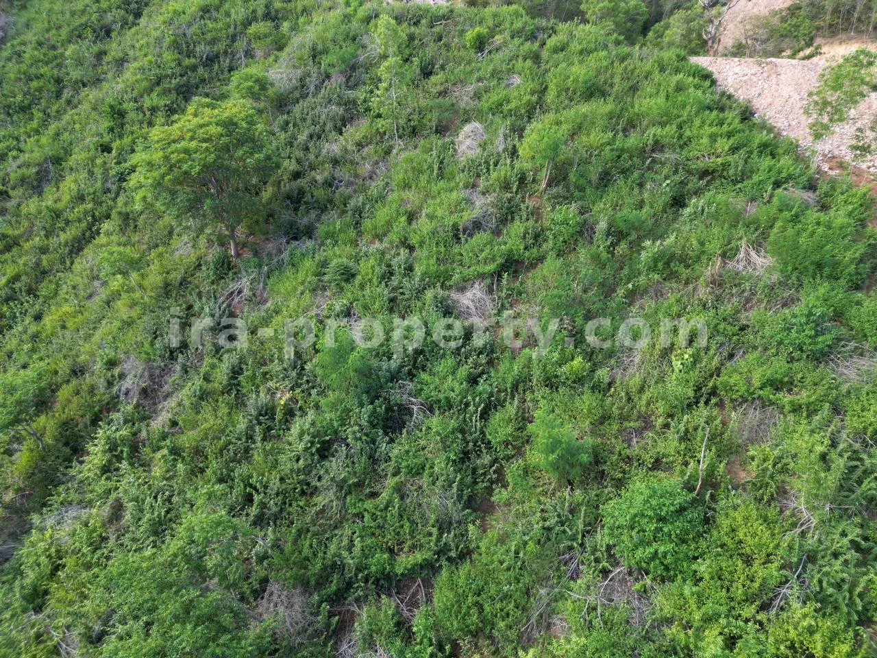 Beach View Land in Central Kuta Mandalika - 441 - 4