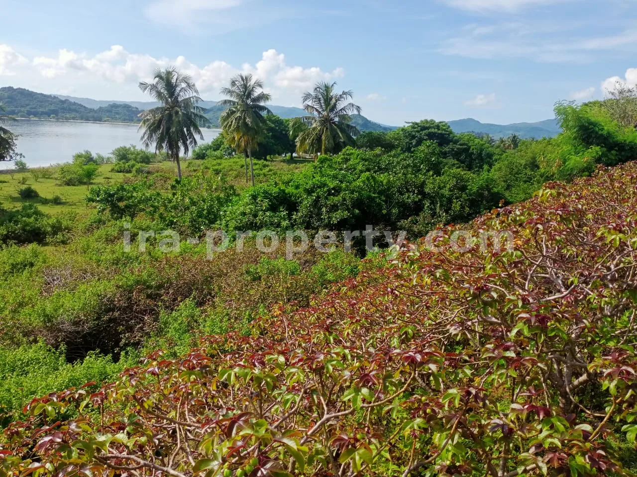 Tanah Tepi Pantai di Gili Layar, Sekotong - 184-2 - 3