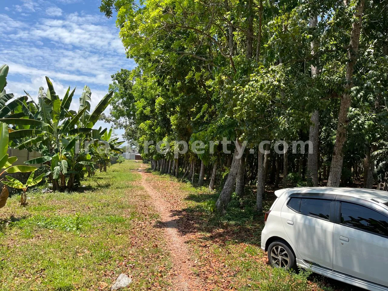 Tanah Tepi Pantai di Montong Dekat Hotel Jayakarta - 359 - 5
