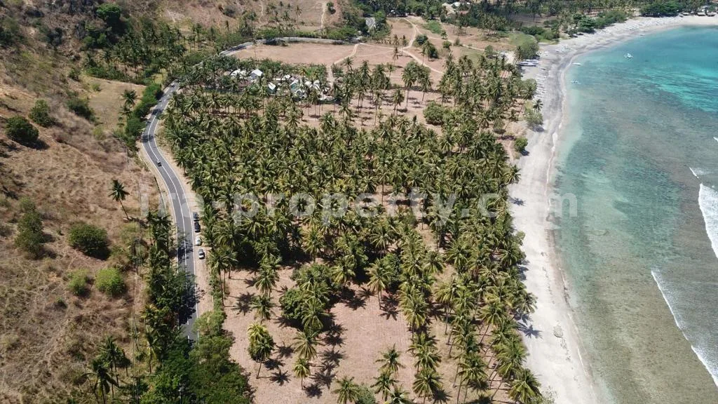 Tanah Tepi Pantai di Pandanan Dekat Senggigi - 338 - 5