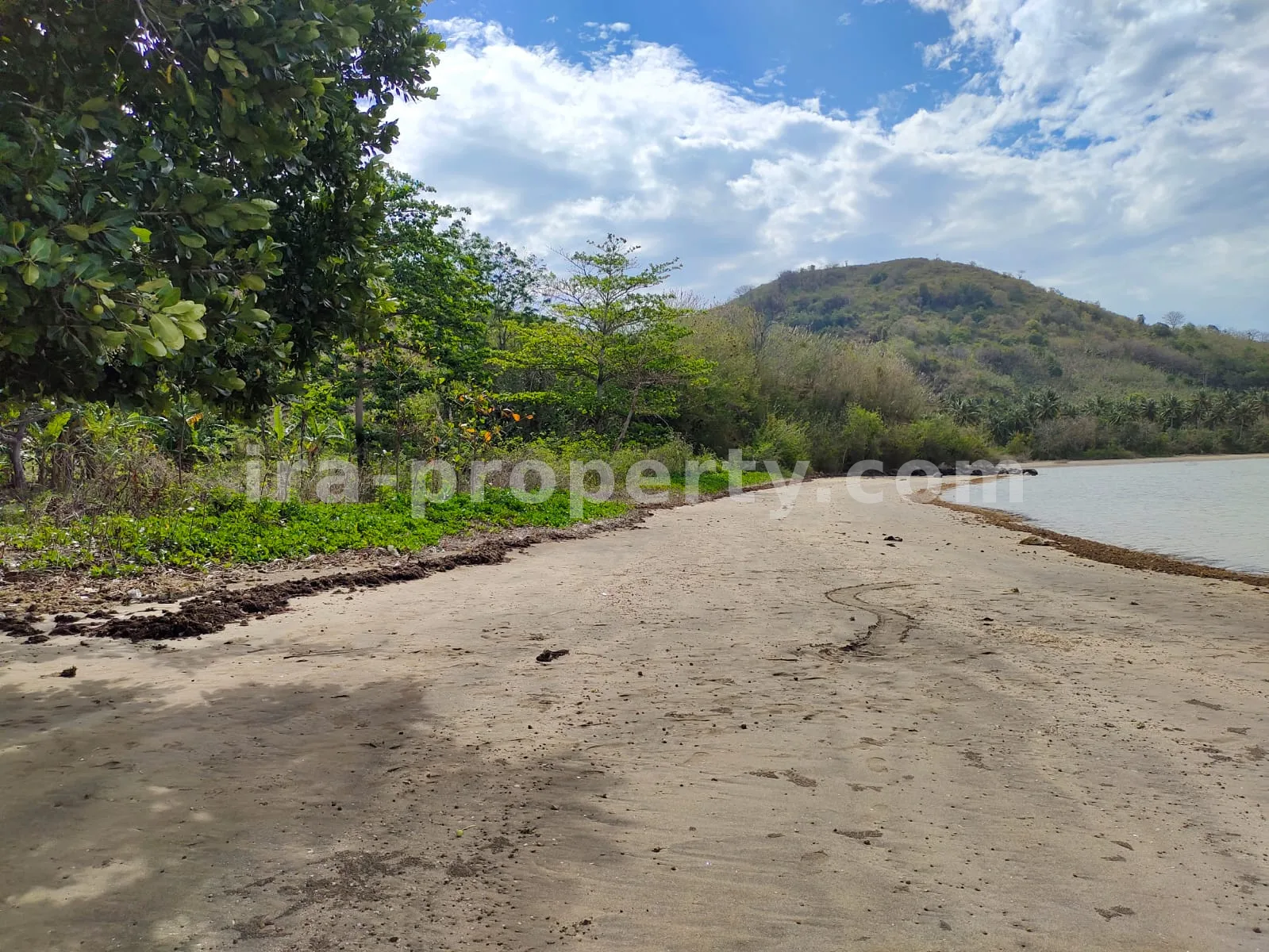 Tanah Tepi Pantai Strategis di Sekotong, Lombok Barat - 180-2 - 4