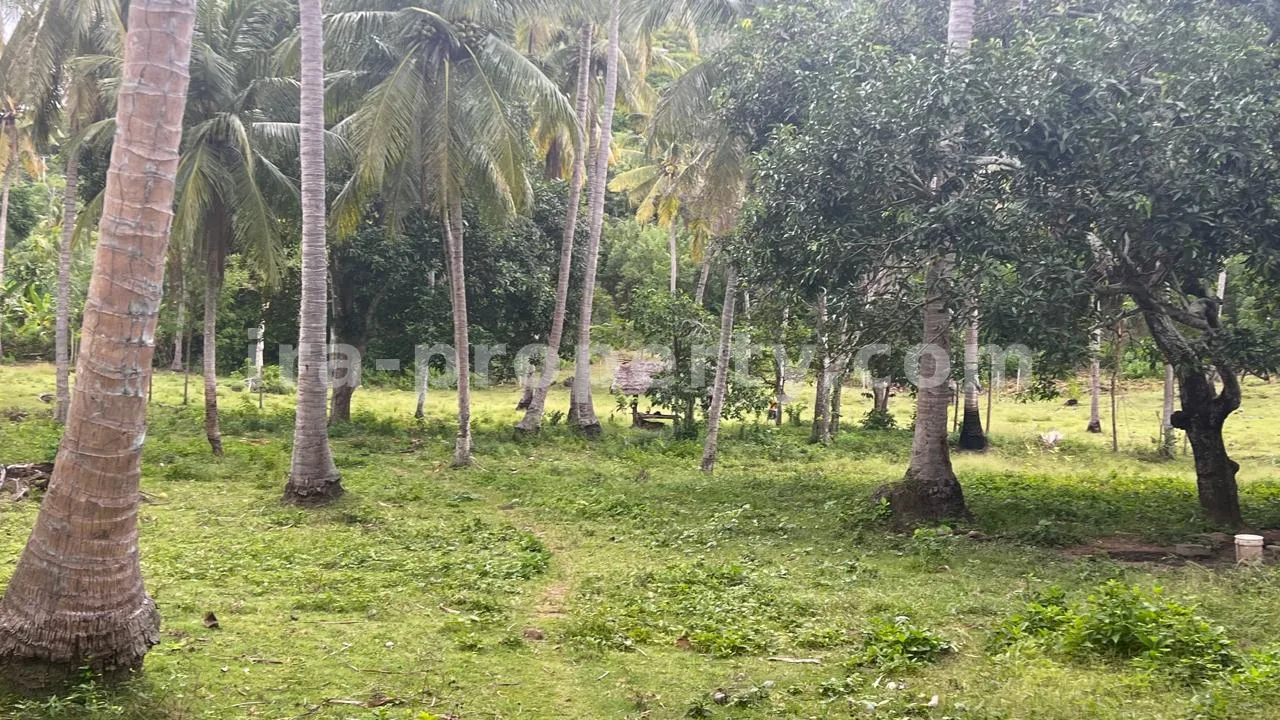 Tanah Tepi Pantai di Telaga Lupi, Sekotong - 182-2 - 6
