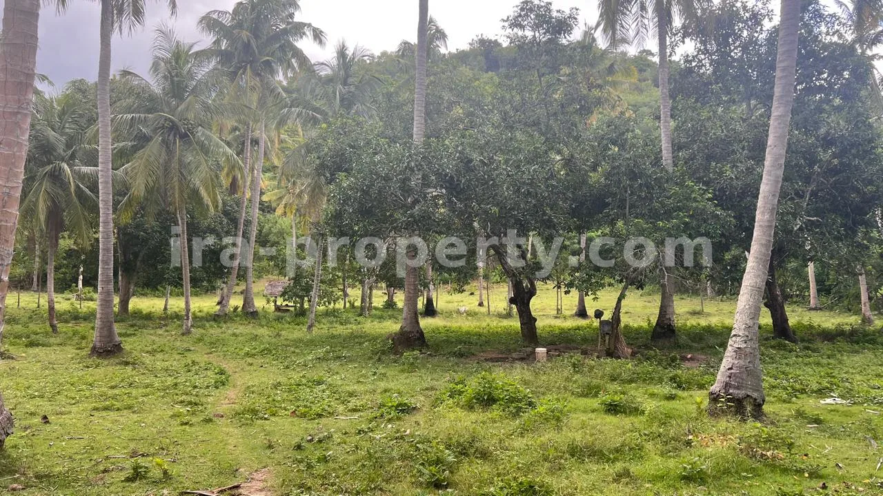 Tanah Tepi Pantai di Telaga Lupi, Sekotong - 182-2 - 7
