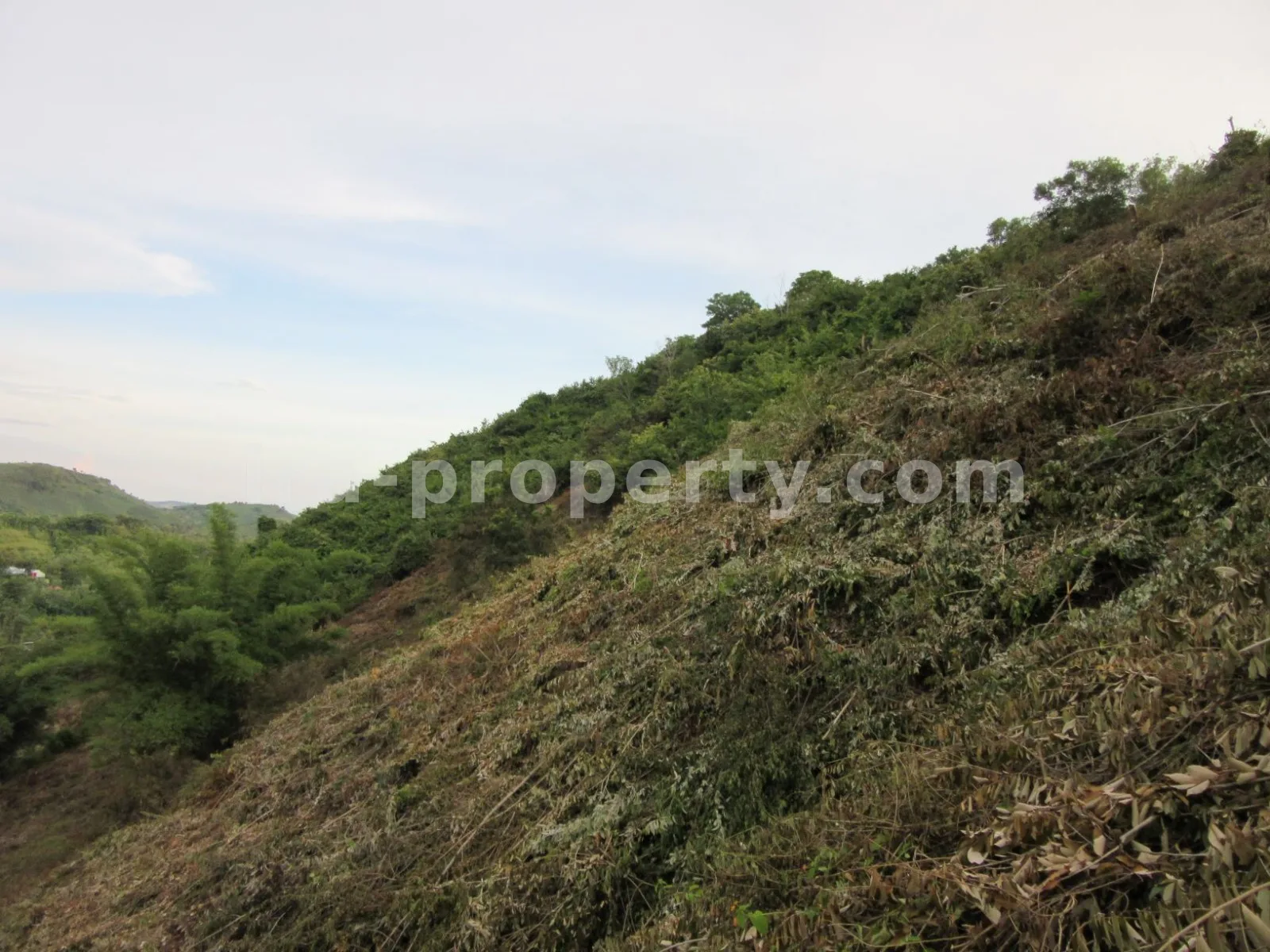 Tanah Tepi Pantai dengan Pemandangan Sirkuit Mandalika - 421-2 - 5