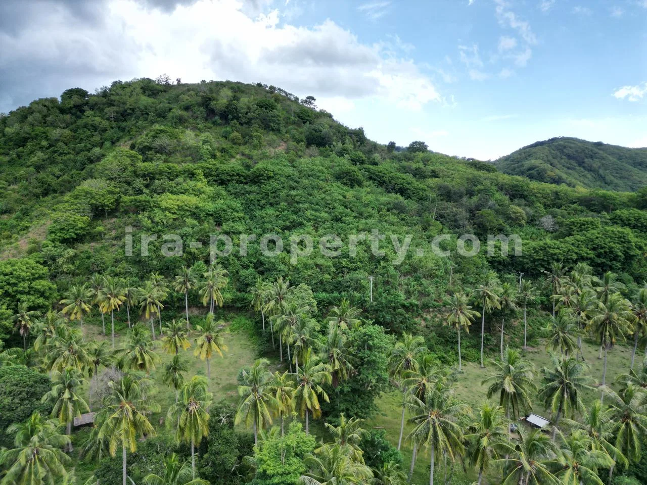 Tanah di Perbukitan Sekotong dengan Pemandangan Laut - 181-2 - 4