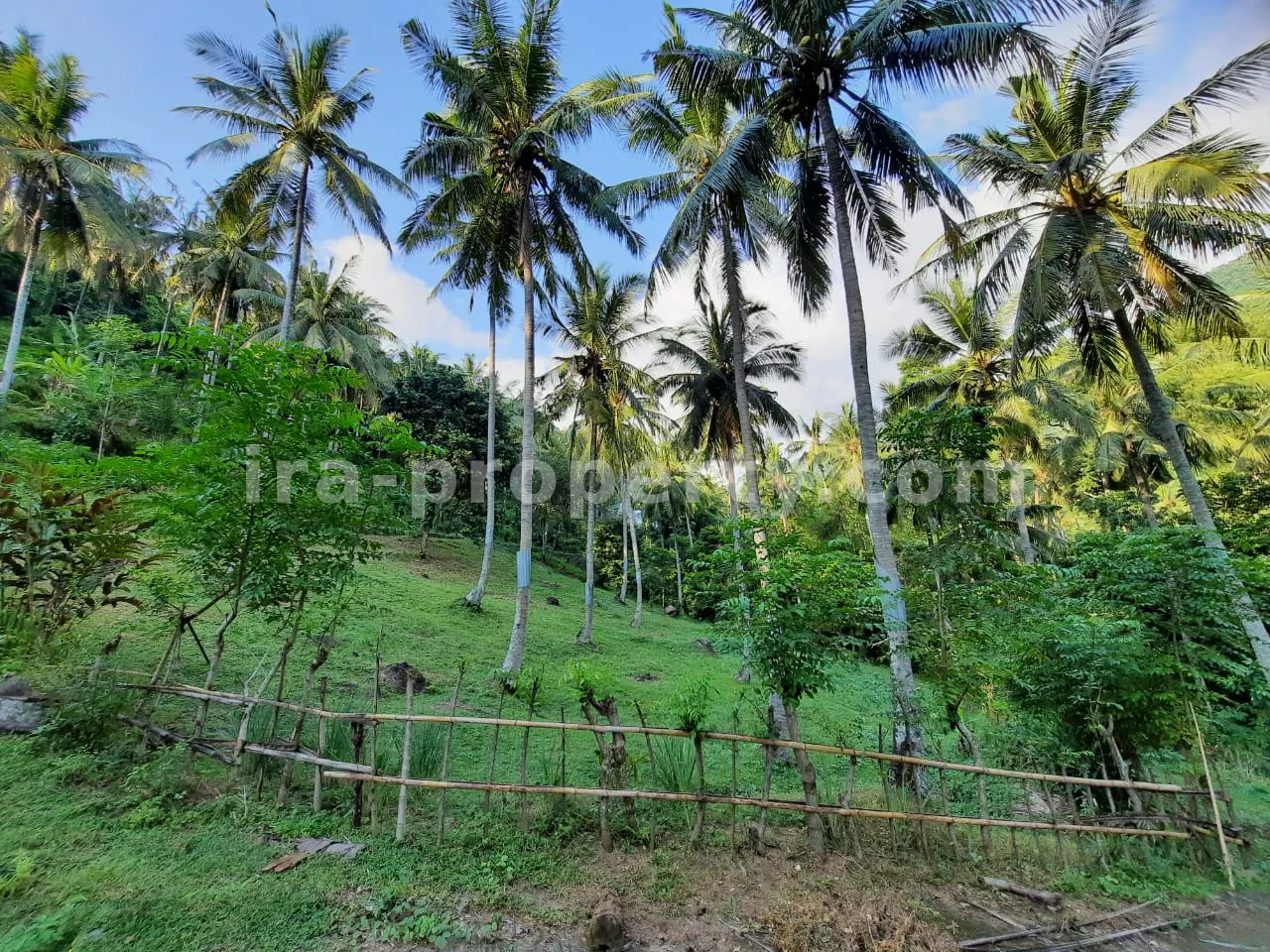 Tanah Strategis untuk Villa di Kerandangan - 364 - 1