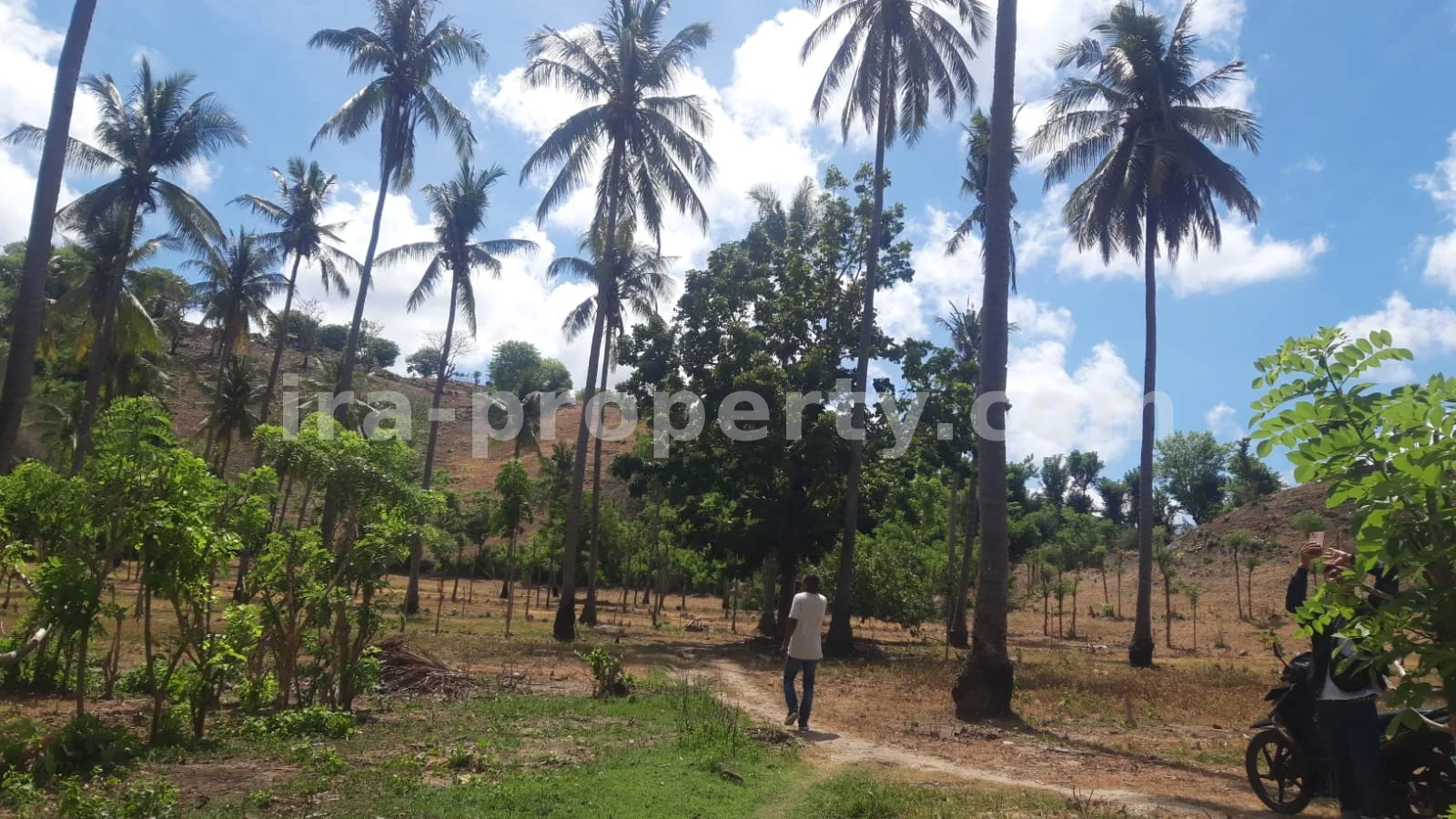 Tanah Tepi Pantai di Gili Genting, Sekotong - 183 - 5