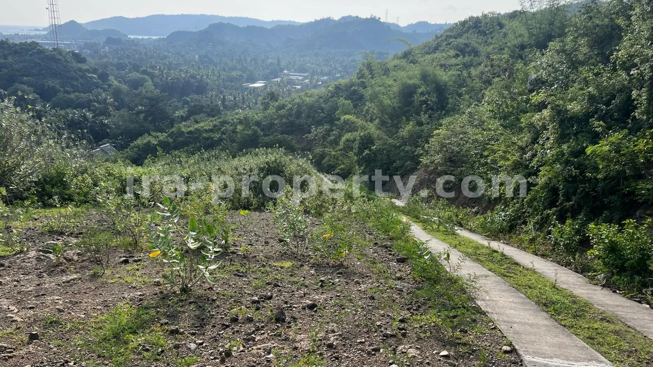 Oceanfront Land Plots in Kuta Mandalika - 417 - 7