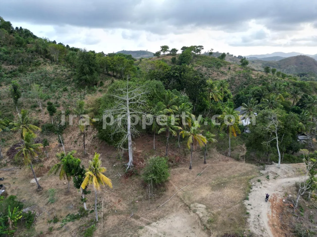 Tanah Premium di Puncak Bukit Prabu Areguling - 445-2 - 5
