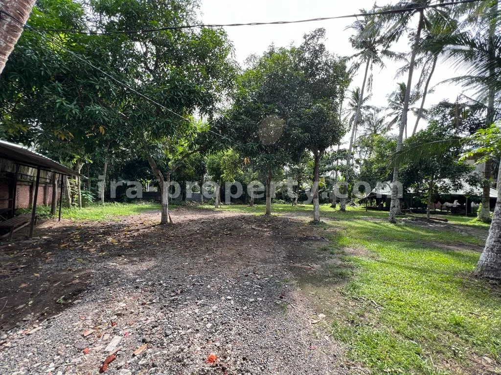 Tanah Strategis Dekat Coconut Boutique Resort, Meninting - 277 - 3