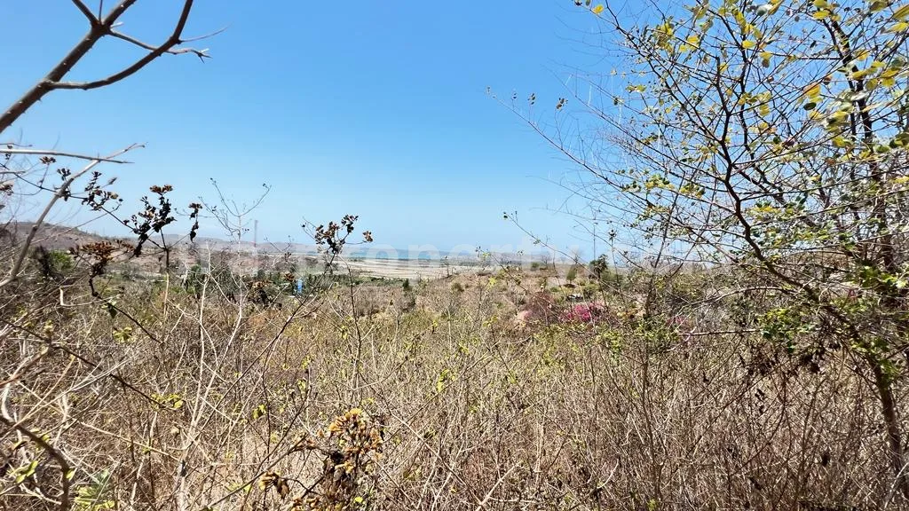 Prime Seaside Land for Sale Near Kuta Mandalika Circuit, Lombok - 372 - 5