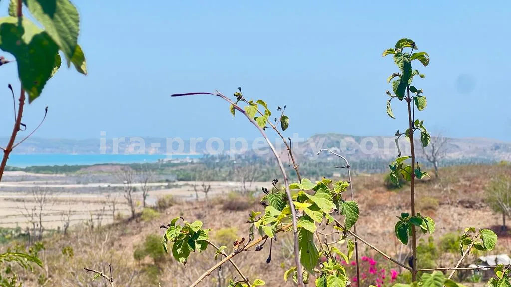 Prime Seaside Land for Sale Near Kuta Mandalika Circuit, Lombok - 372 - 7