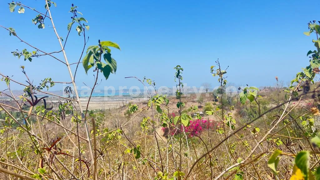 Prime Seaside Land for Sale Near Kuta Mandalika Circuit, Lombok - 372 - 8