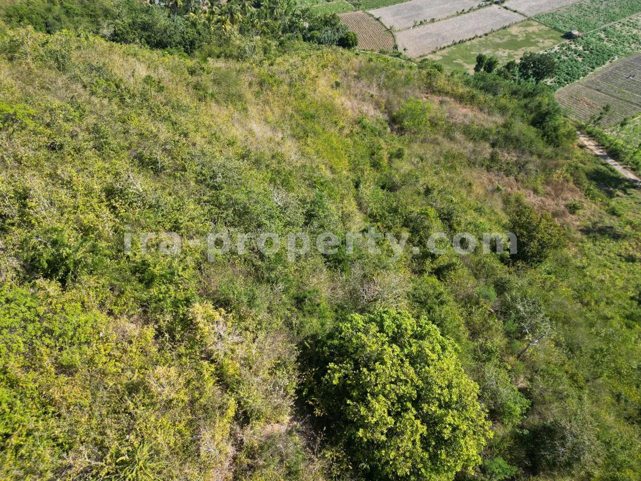 Sea View Hilltop Land in Tampah- 15,463 m² - 451 - 10