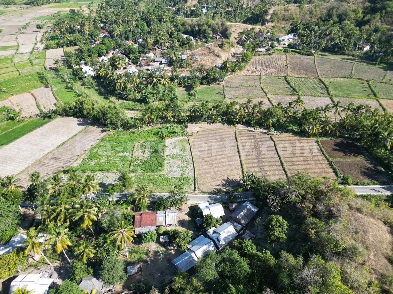 Sea View Hilltop Land in Tampah- 15,463 m² - 451 - 2