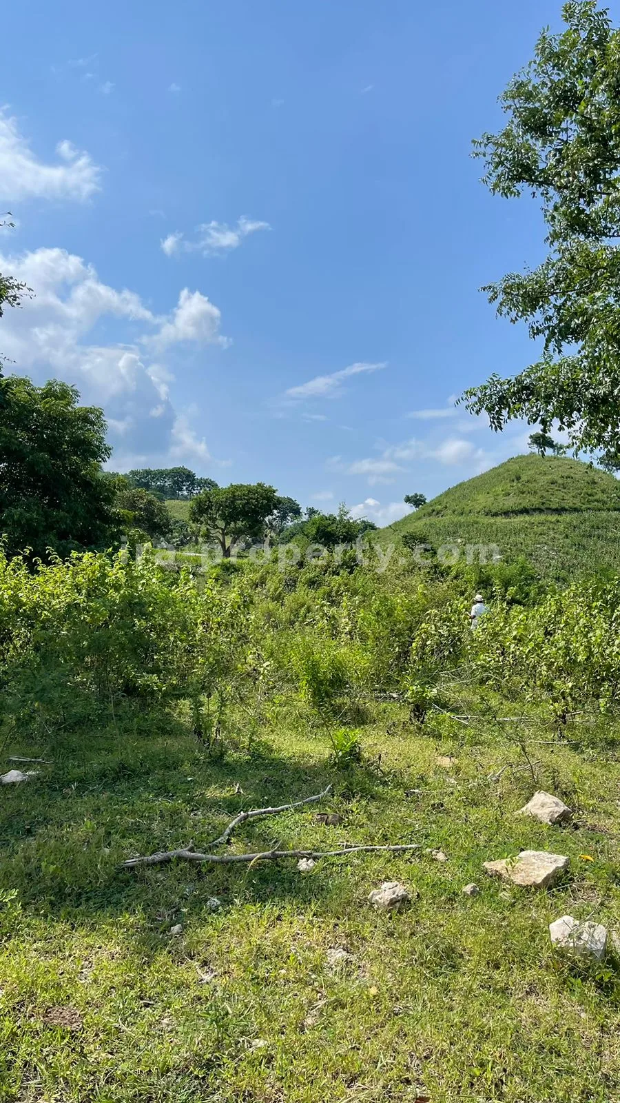 Sea view Land in Mawun, Kuta Mandalika (1.5 Hectare) - 430 - 2