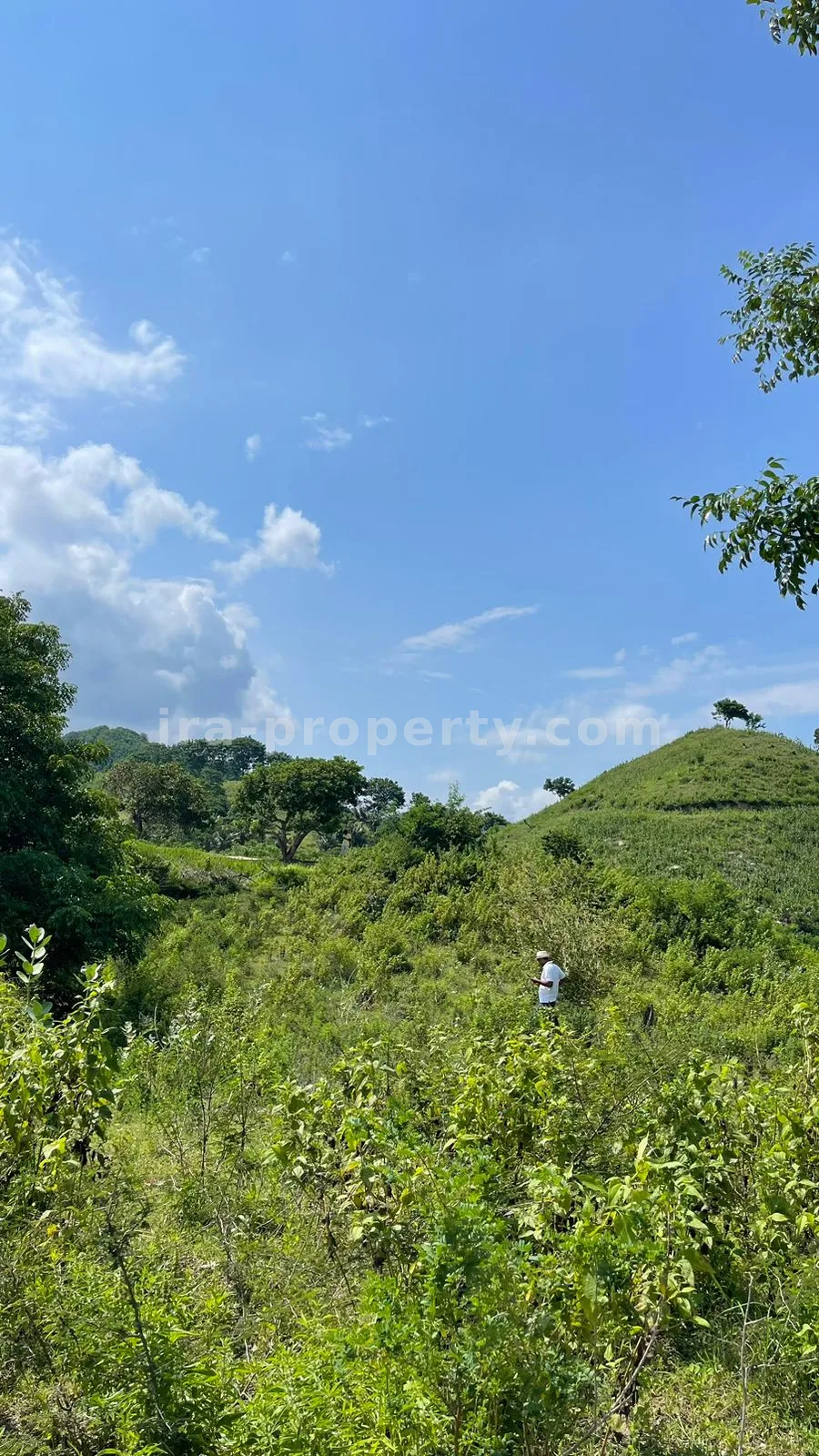 Sea view Land in Mawun, Kuta Mandalika (1.5 Hectare) - 430 - 4