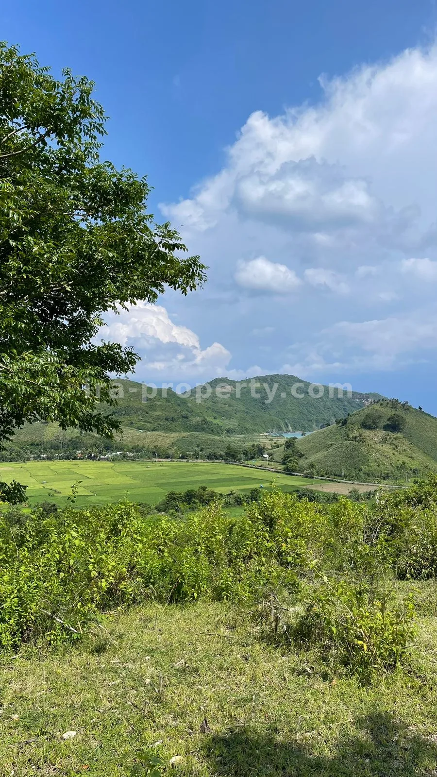 Sea view Land in Mawun, Kuta Mandalika (1.5 Hectare) - 430 - 7