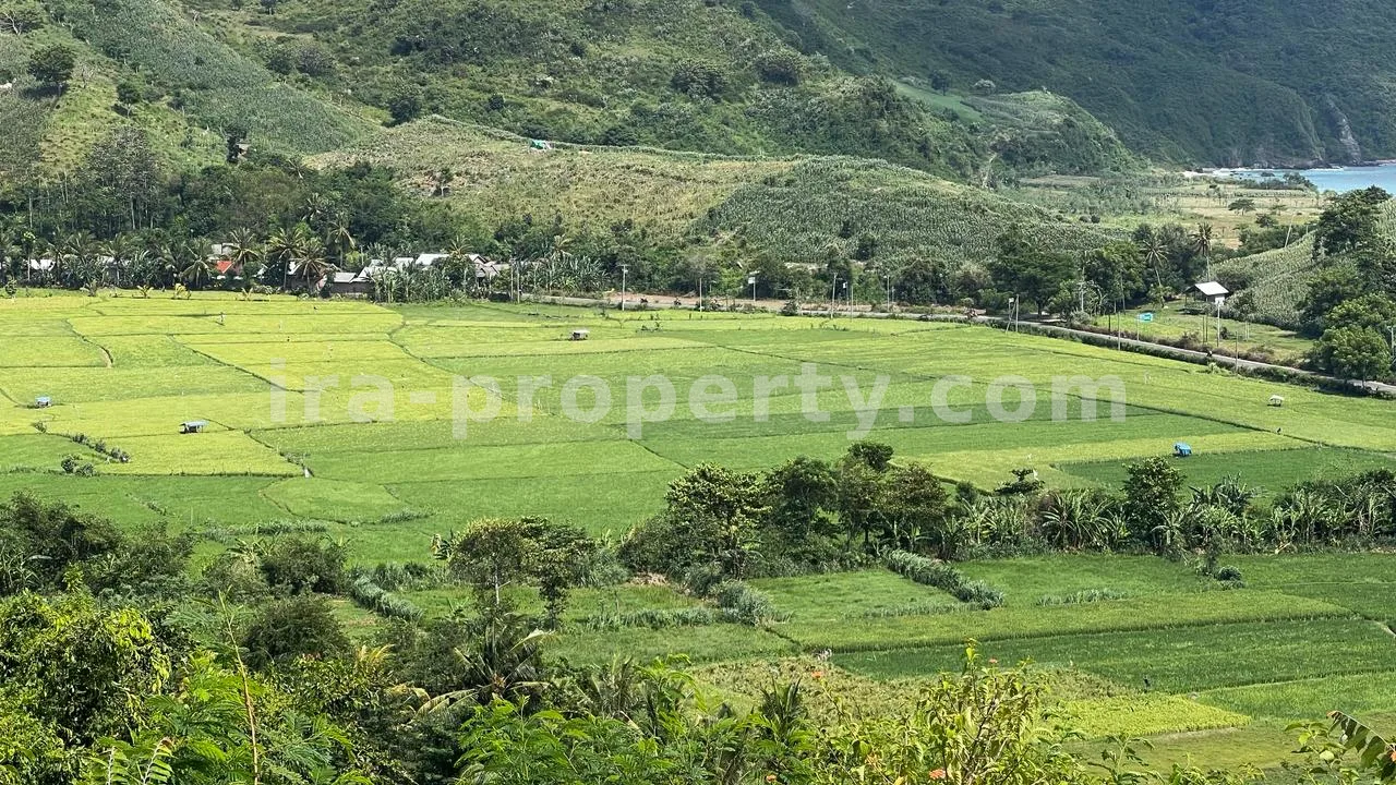 Sea View Land in Mawun, Kuta Mandalika (73.6 are) - 429 - 2