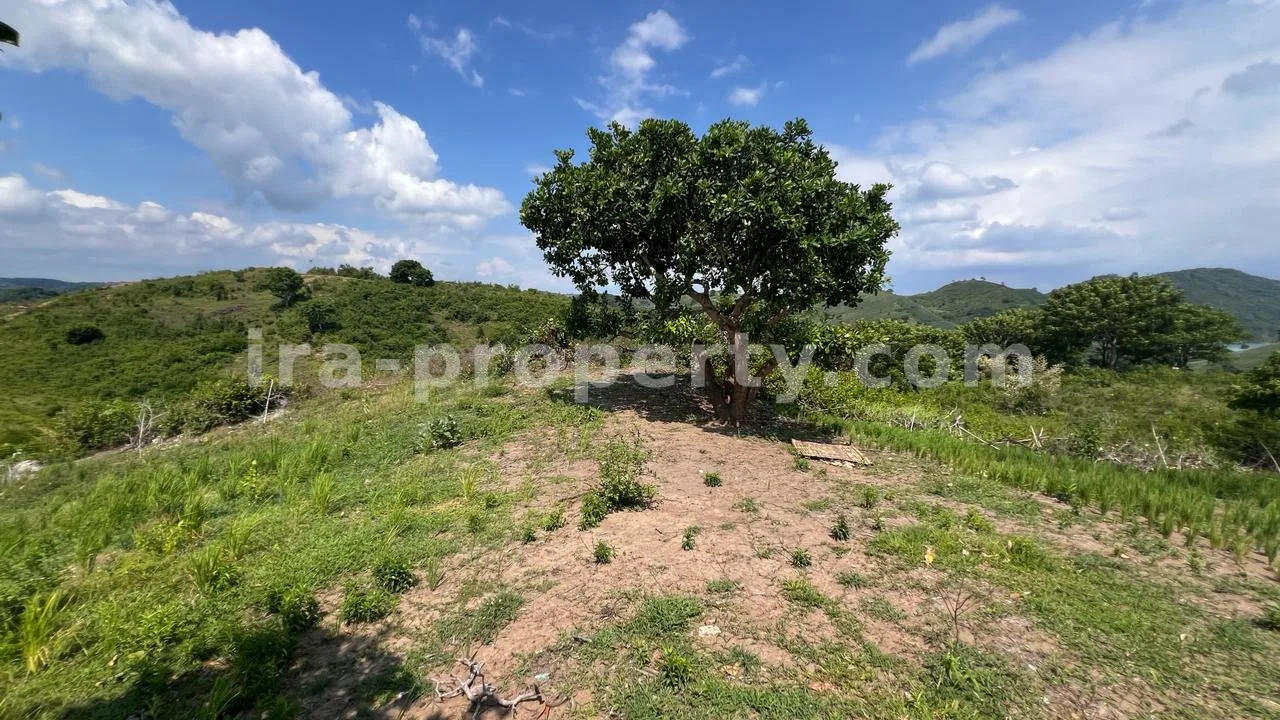Sea View Land in Mawun, Kuta Mandalika (73.6 are) - 429 - 3