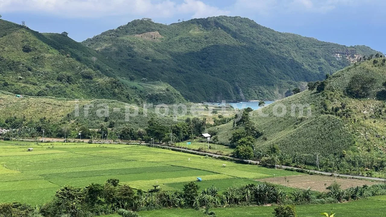 Sea View Land in Mawun, Kuta Mandalika (73.6 are) - 429 - 6