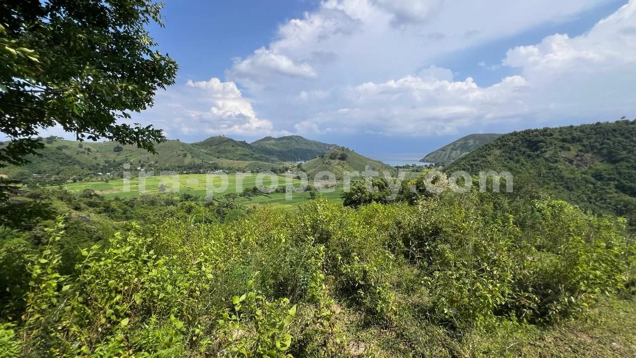 Sea View Land in Mawun, Kuta Mandalika (73.6 are) - 429 - 7