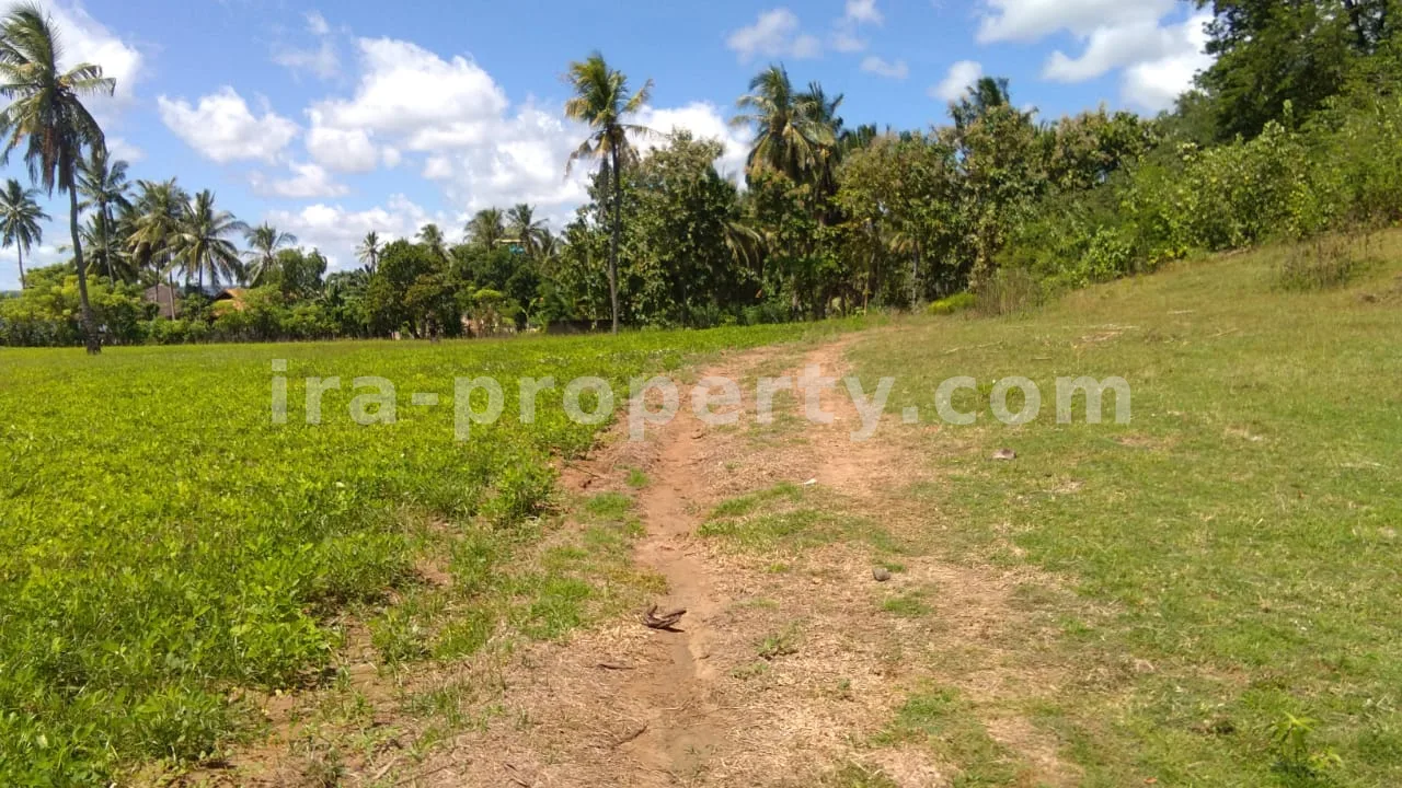 Tanah Tepi Pantai di Sekotong – 15.000 m² - 192-2 - 7