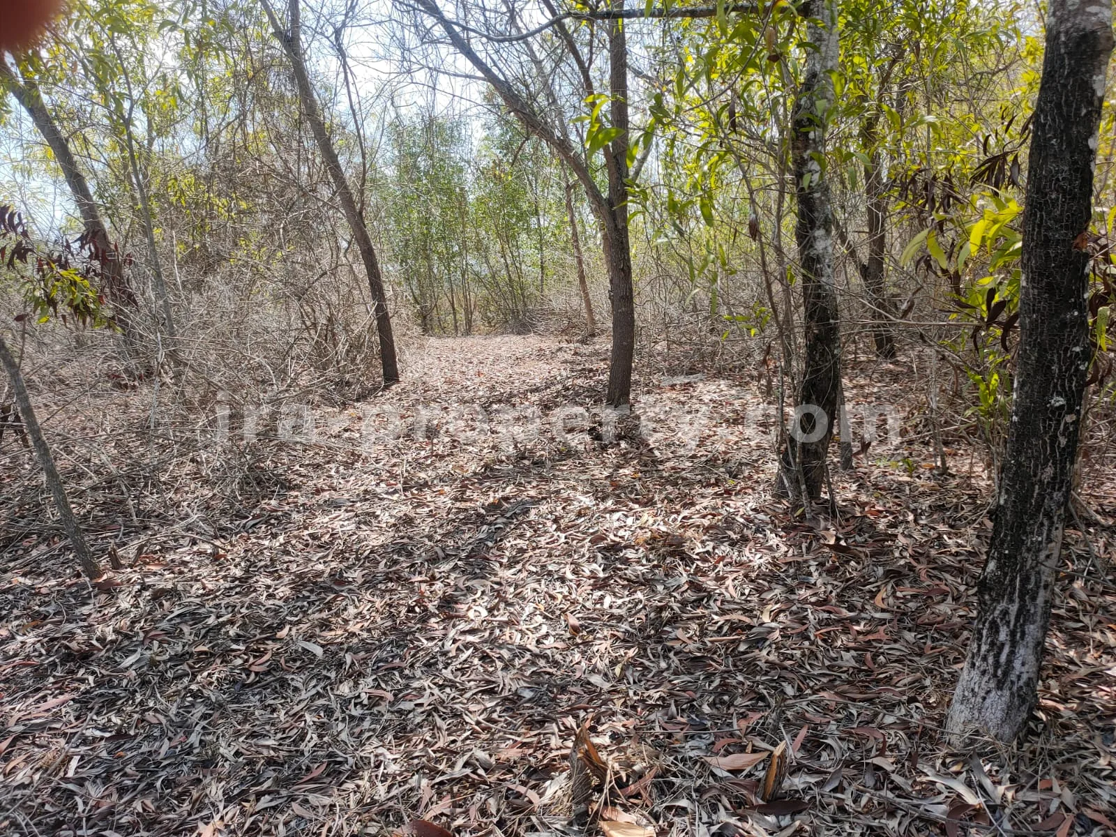 Tanah Tepi Pantai di Gili Gede Sekotong – 4.600 m² - 174 - 2