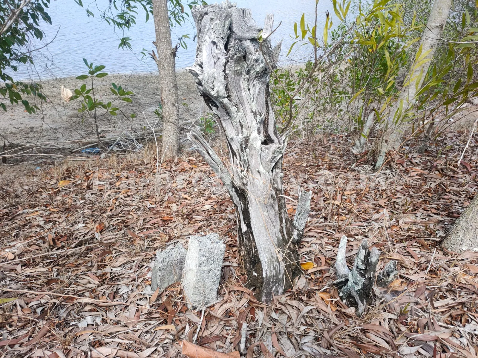 Tanah Tepi Pantai di Gili Gede Sekotong – 4.600 m² - 174 - 3