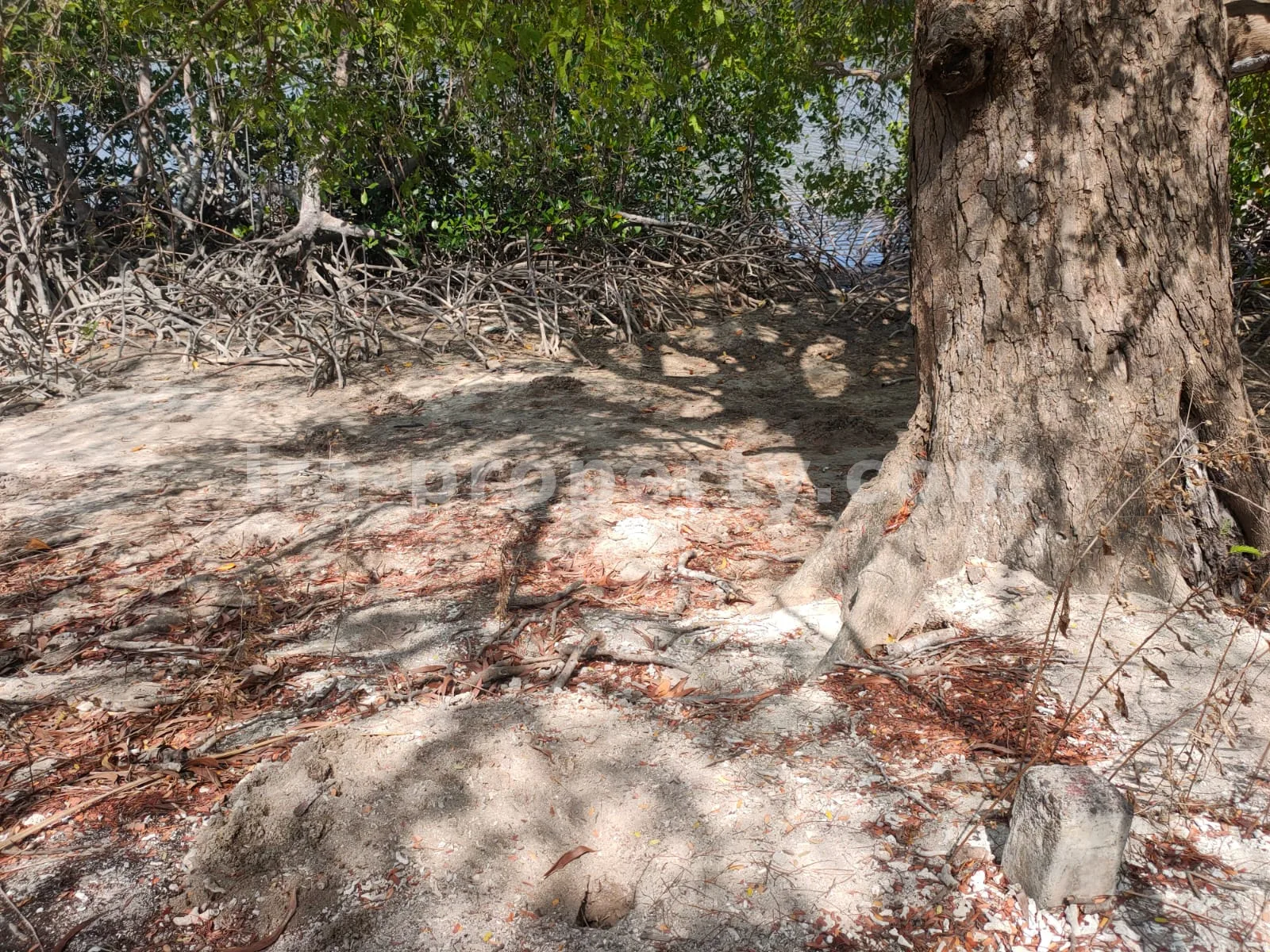 Tanah Tepi Pantai di Gili Gede Sekotong – 4.600 m² - 174 - 5