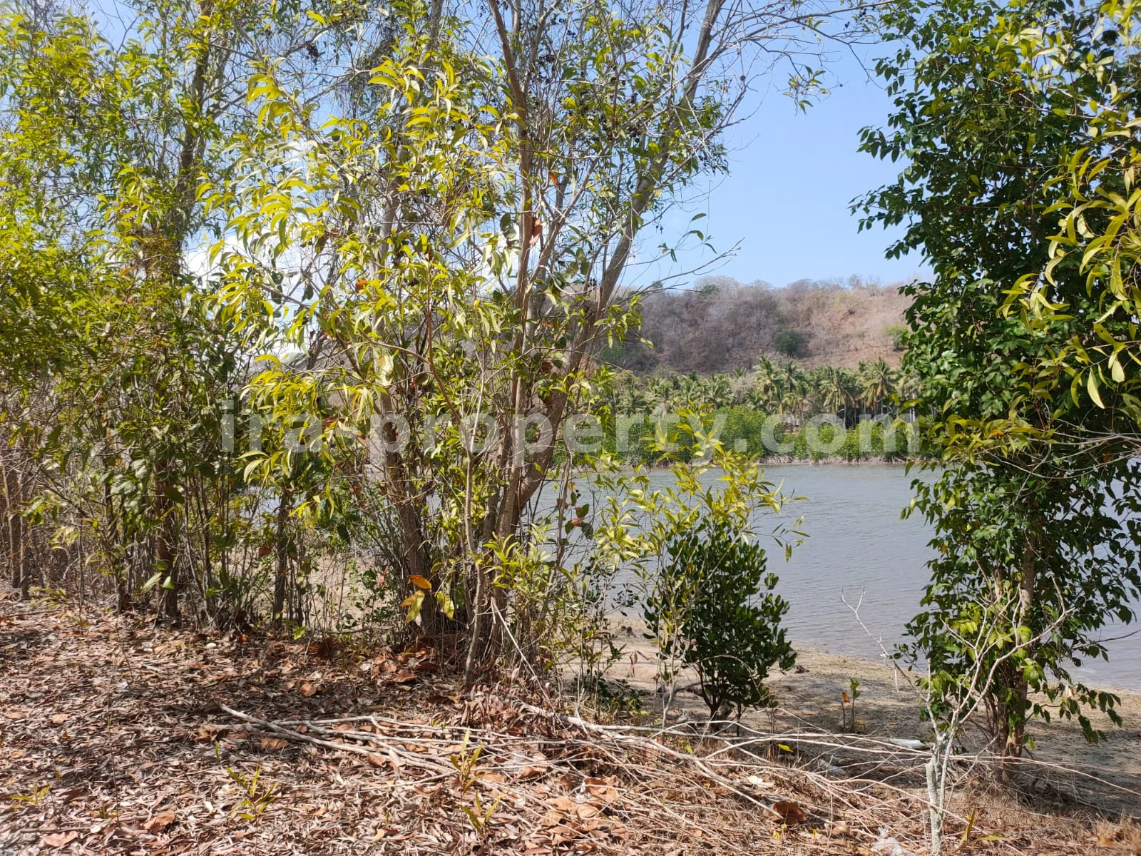 Tanah Tepi Pantai di Gili Gede Sekotong – 4.600 m² - 174 - 6