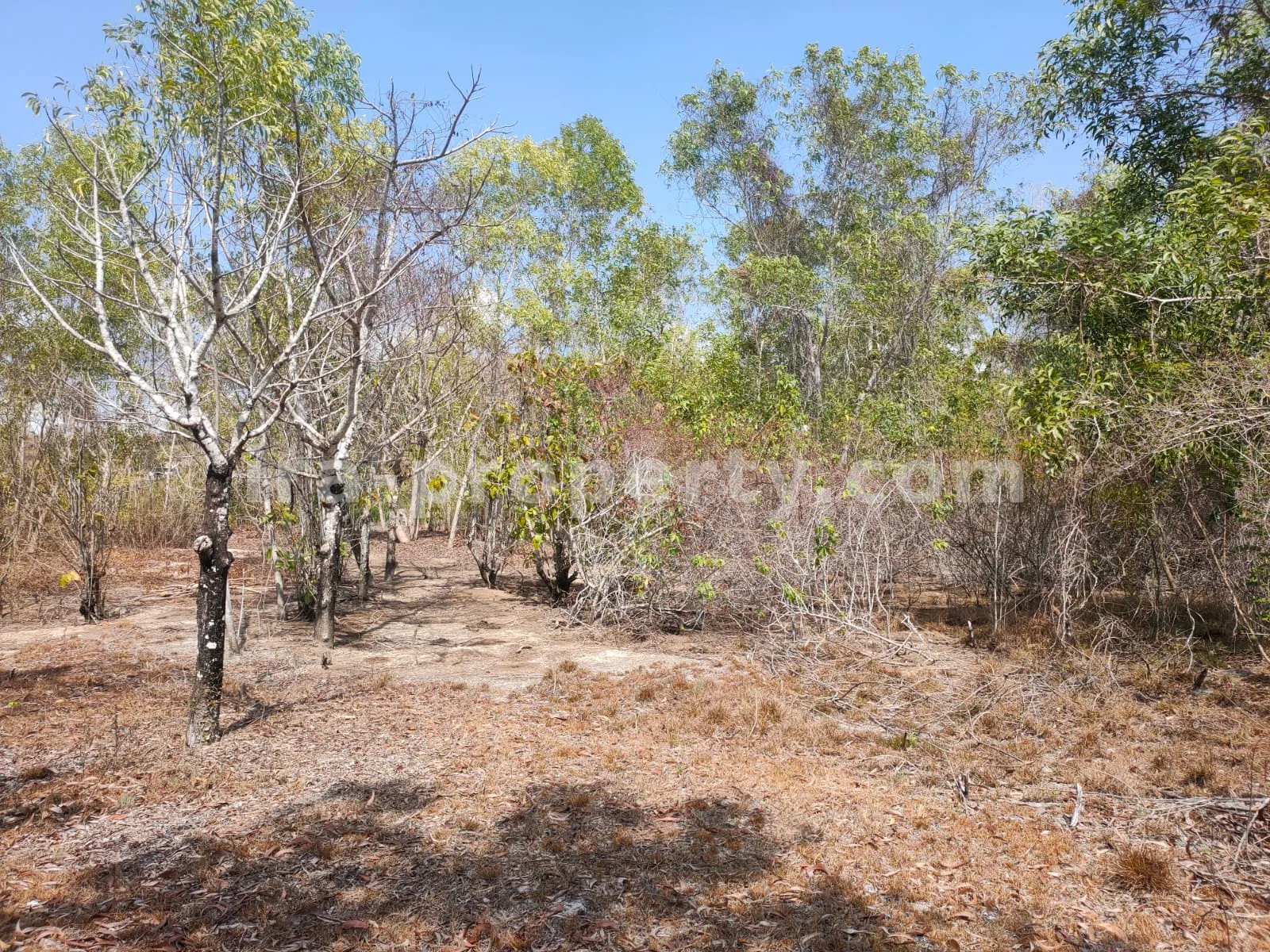 Tanah Tepi Pantai di Gili Gede Sekotong – 4.600 m² - 174 - 7