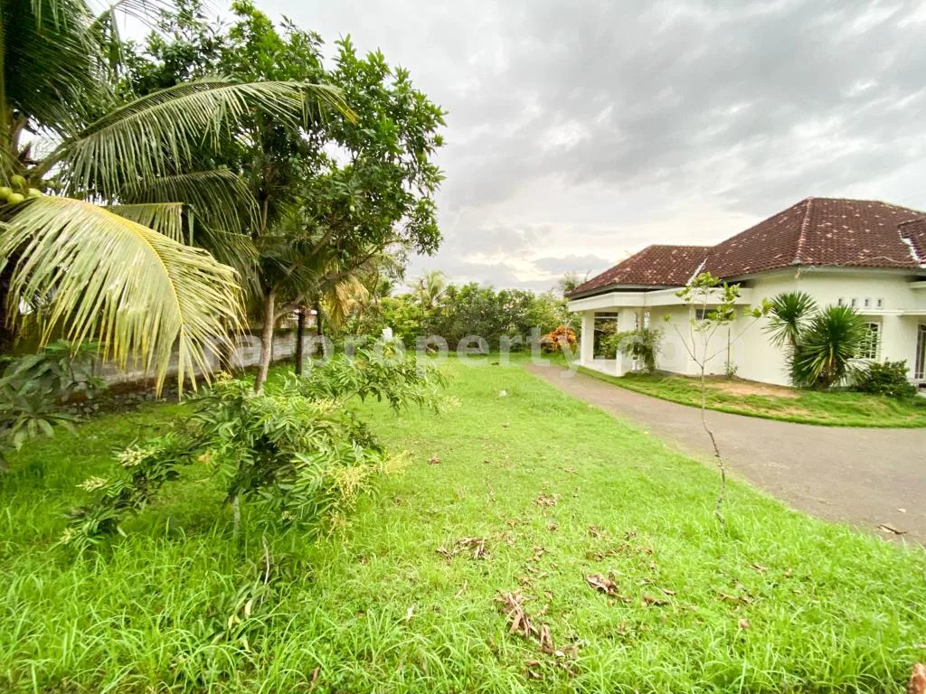 Spacious Home with Large Yard in Praya - 83 - 12