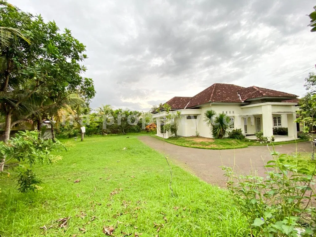 Spacious Home with Large Yard in Praya - 83 - 13