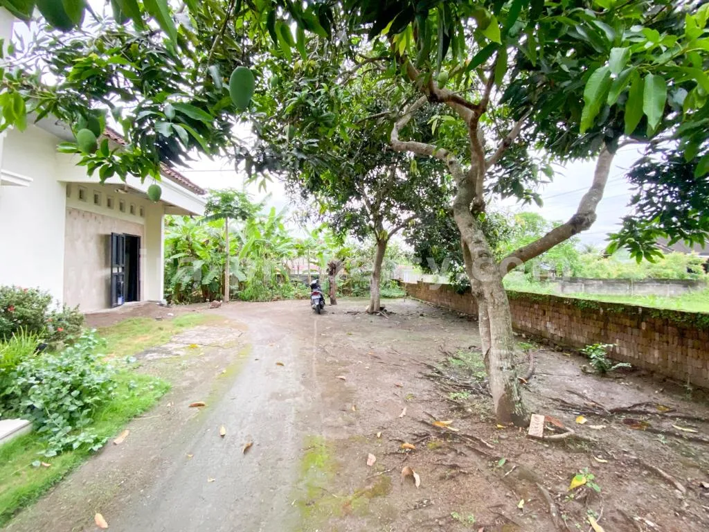 Spacious Home with Large Yard in Praya - 83 - 14