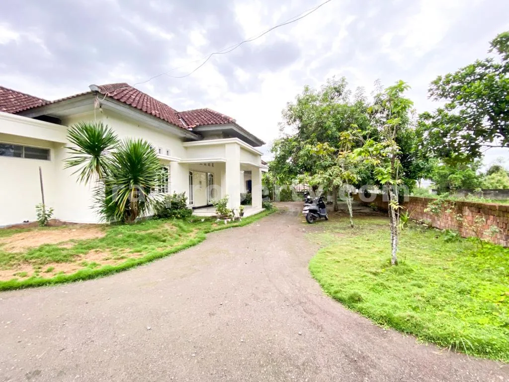 Spacious Home with Large Yard in Praya - 83 - 2