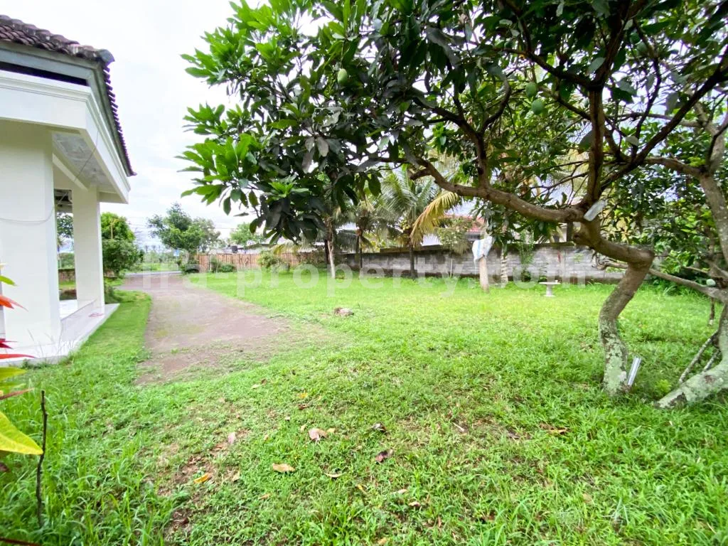 Spacious Home with Large Yard in Praya - 83 - 3