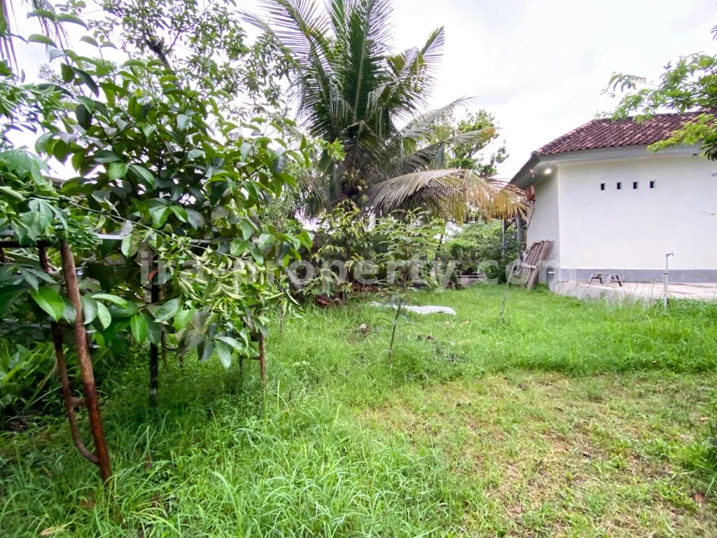 Spacious Home with Large Yard in Praya - 83 - 4