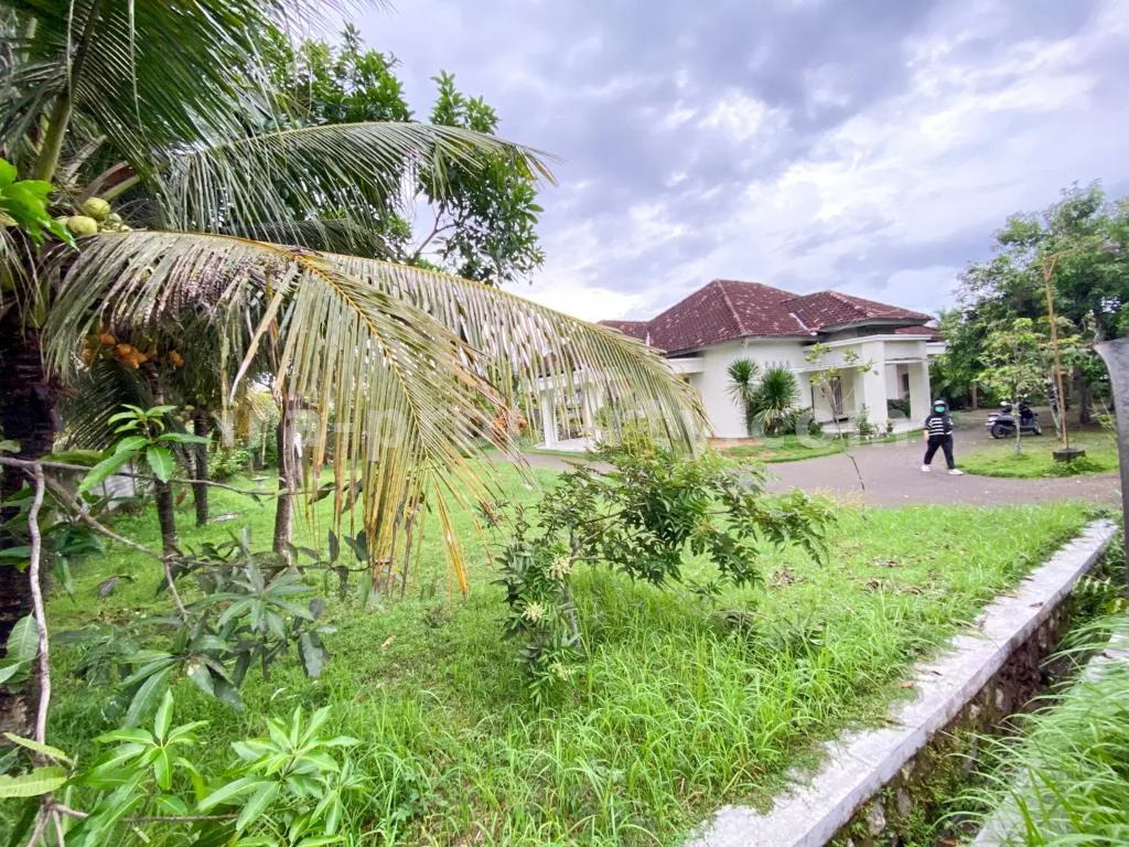 Spacious Home with Large Yard in Praya - 83 - 5