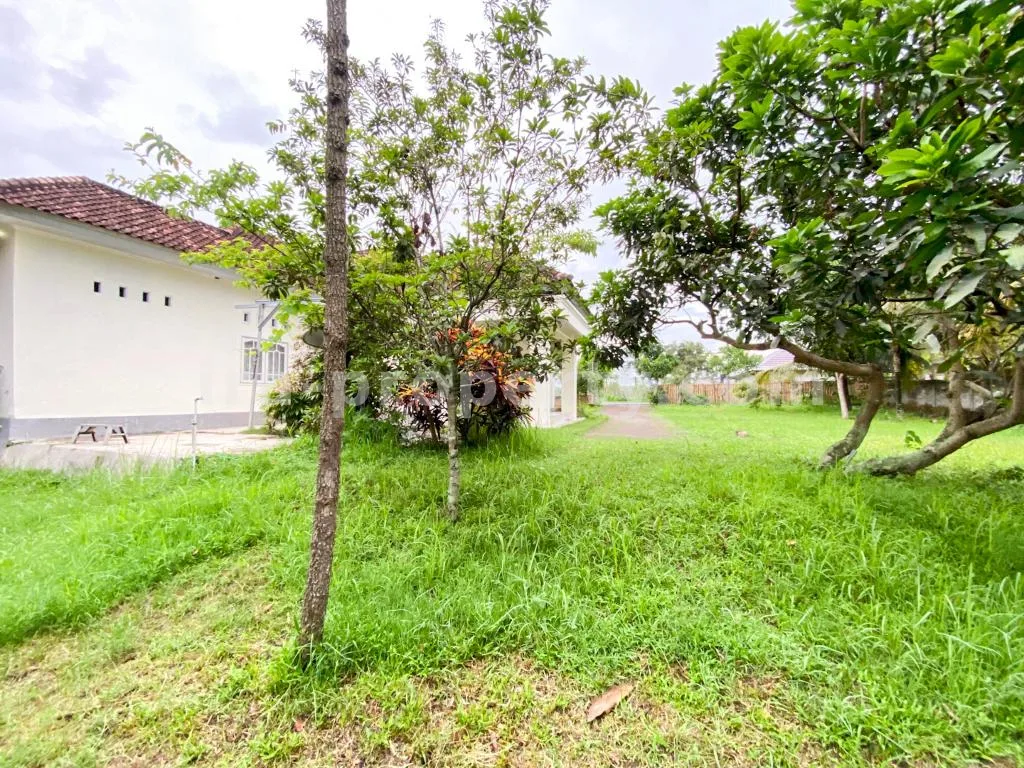 Spacious Home with Large Yard in Praya - 83 - 7