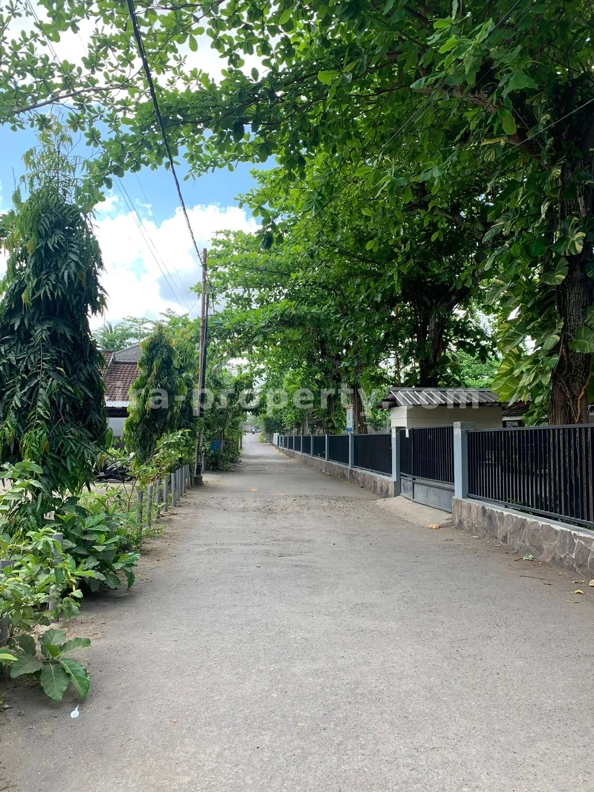 Tanah Strategis di Montong Dekat Eks Sekolah Nusa Alam - 362 - 2