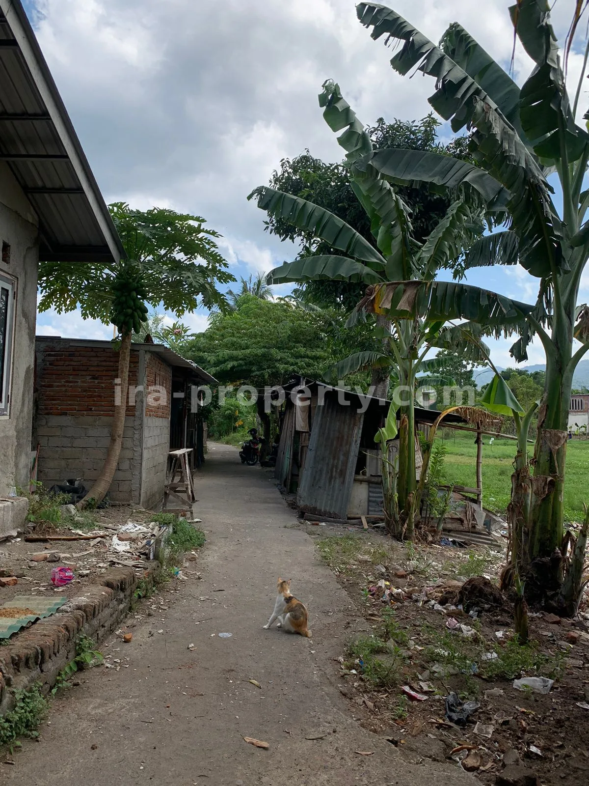 Tanah Strategis di Montong Dekat Eks Sekolah Nusa Alam - 362 - 5
